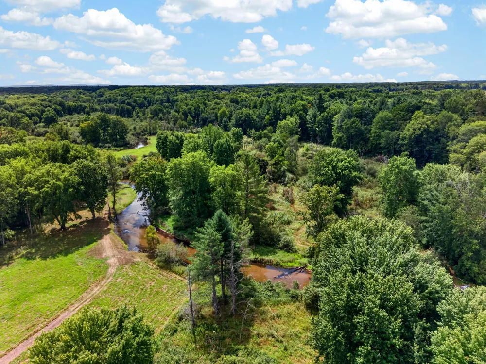 5778 E Shores Drive Free Soil, MI 49411