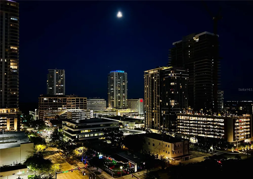 400 CENTRAL AVENUE #1904 St Petersburg, FL 33701