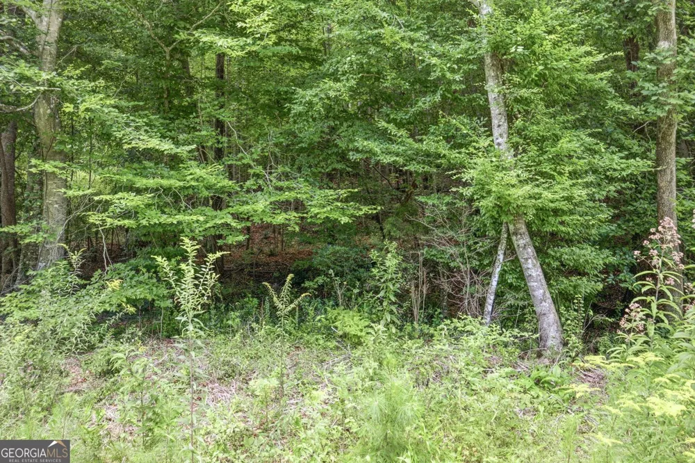 1292 Harbert Valley RD Toccoa, GA 30577