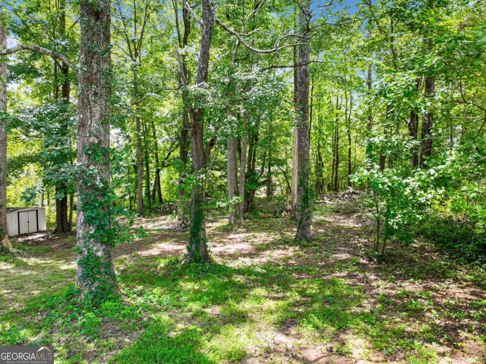 3918 Sherwood DR Douglasville, GA 30135