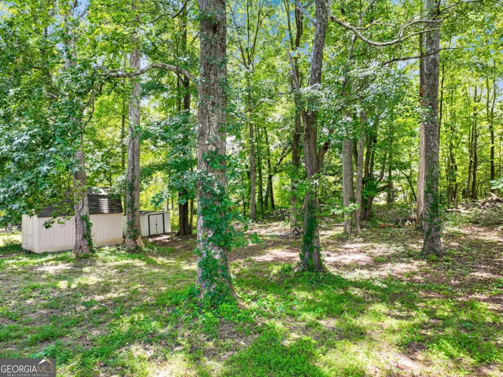 3918 Sherwood DR Douglasville, GA 30135