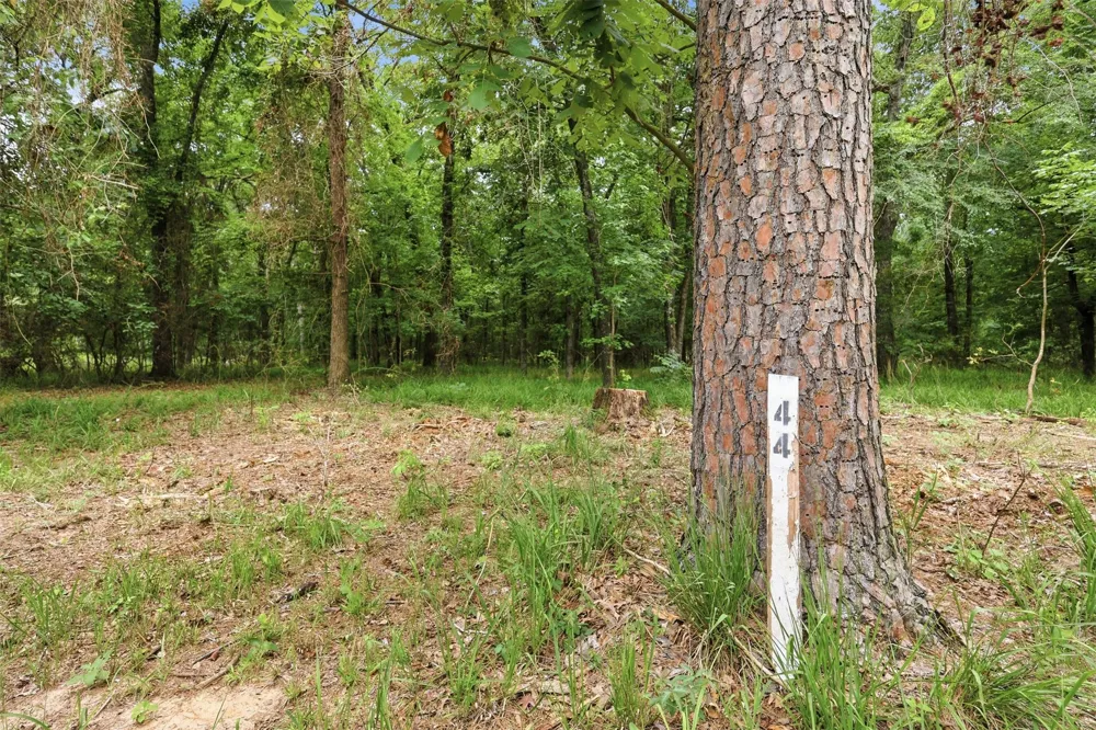 Sterling Shores Drive Scroggins, TX 75480