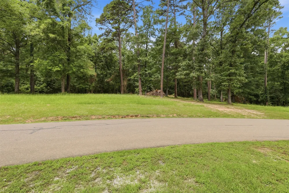 Sterling Shores Drive Scroggins, TX 75480