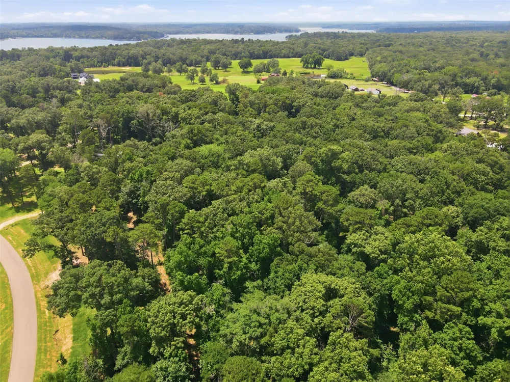 Sterling Shores Drive Scroggins, TX 75480