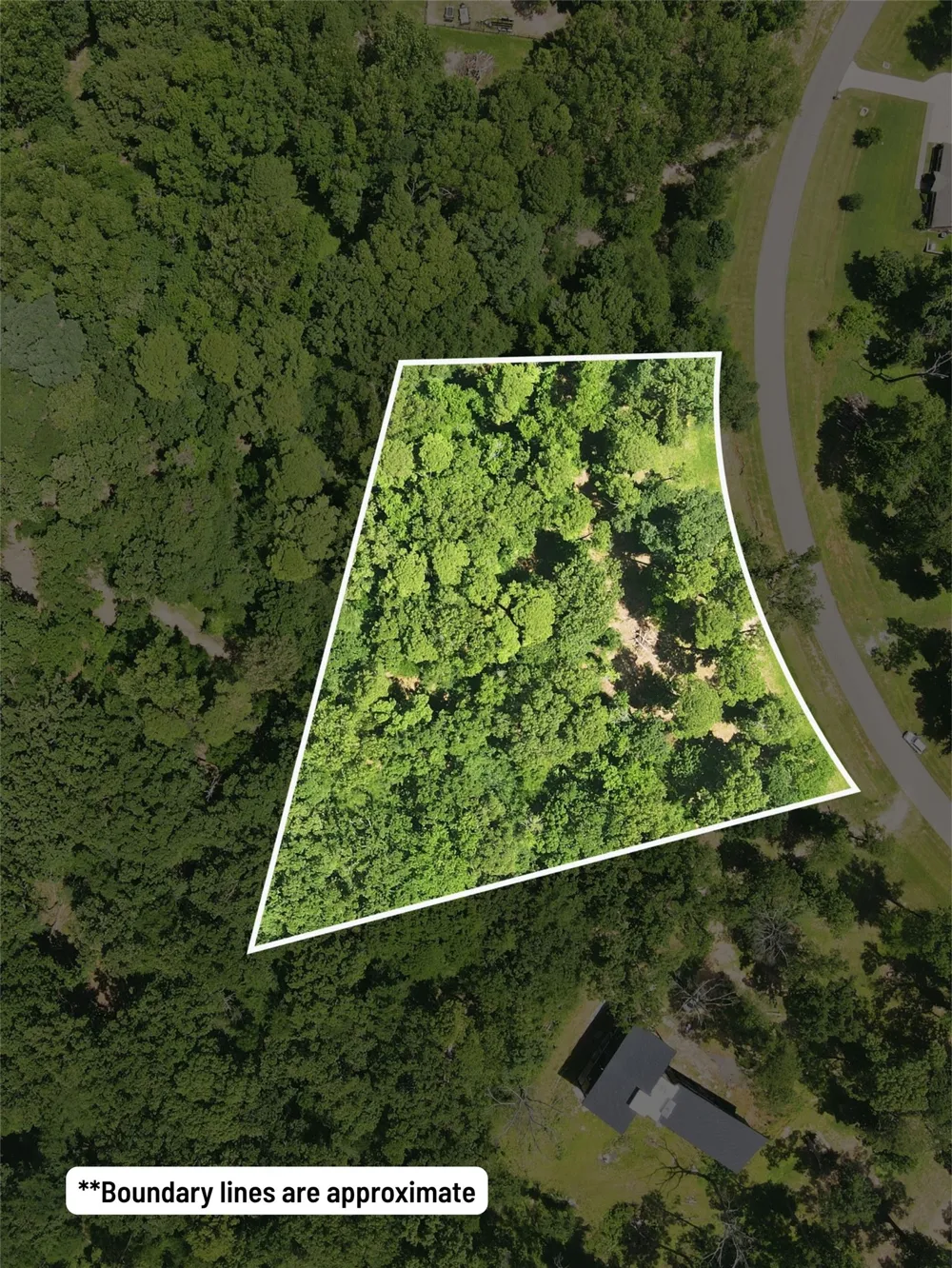 Sterling Shores Drive Scroggins, TX 75480