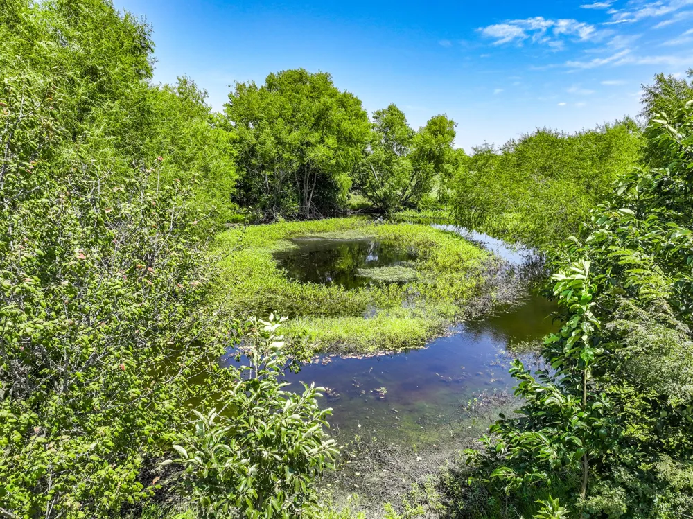 5726 County Road 4100 Greenville, TX 75401