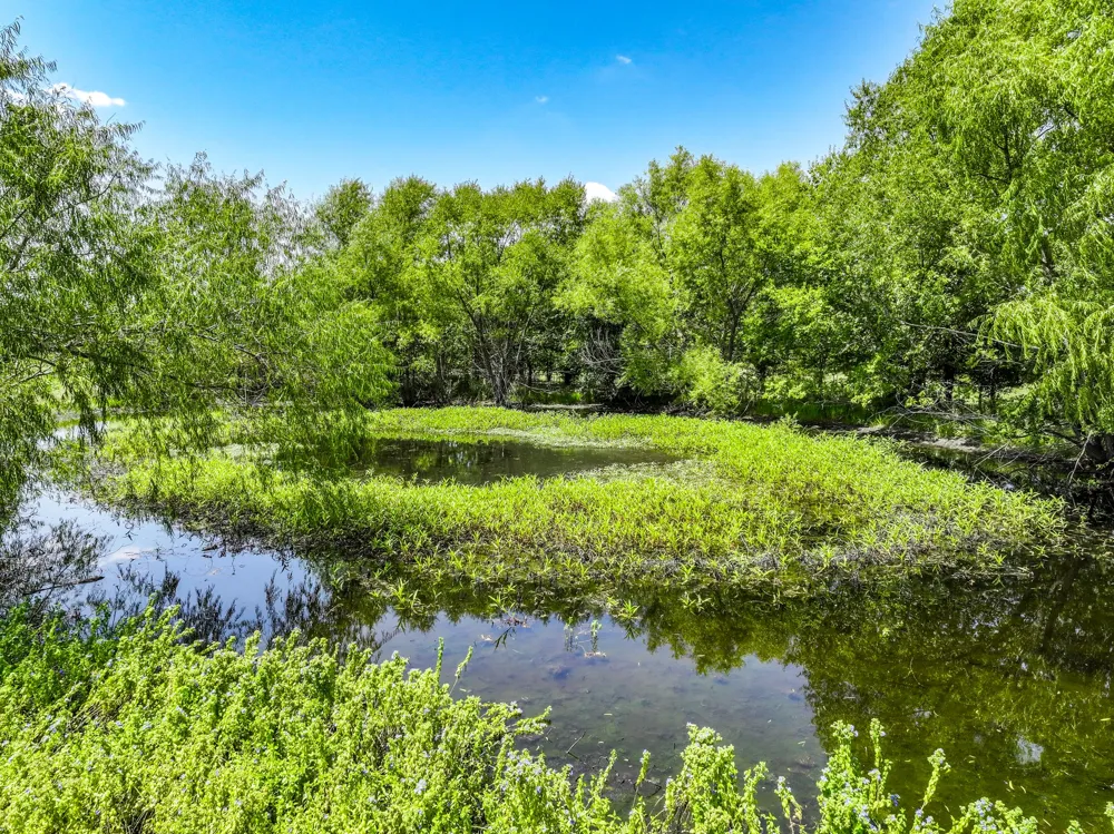 5726 County Road 4100 Greenville, TX 75401