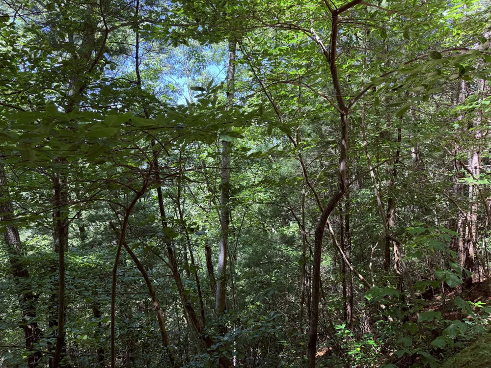 Highlands Gate Drive Highlands, NC 28741