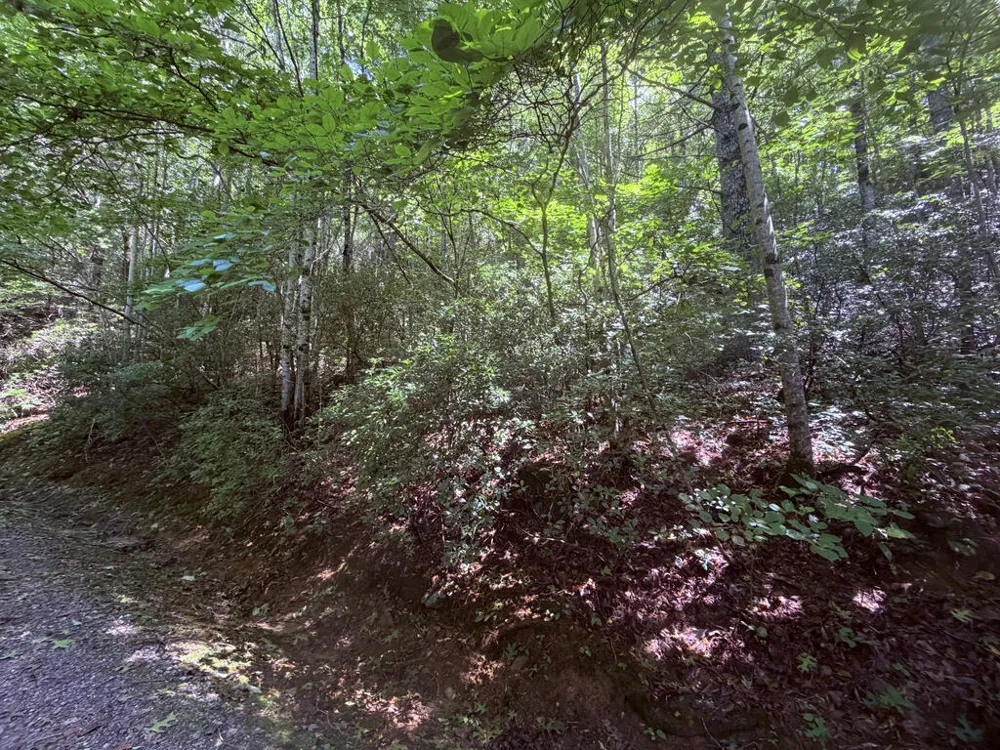 Highlands Gate Drive Highlands, NC 28741