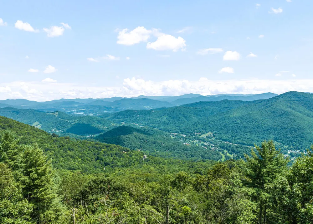 Quail Ridge Drive Maggie Valley, NC 28751