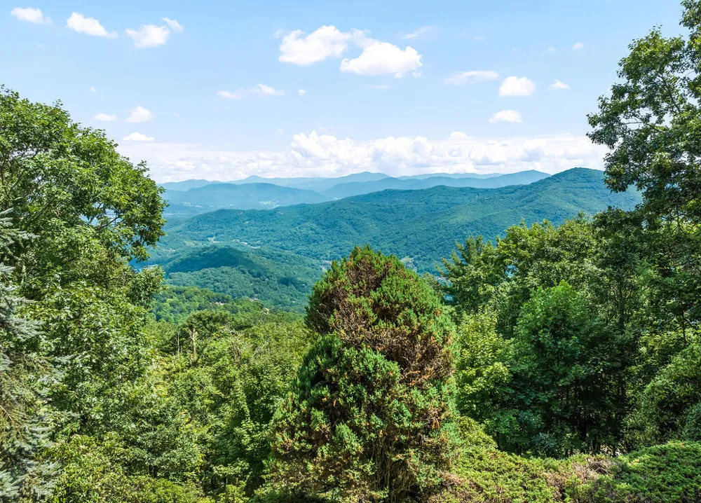Quail Ridge Drive Maggie Valley, NC 28751