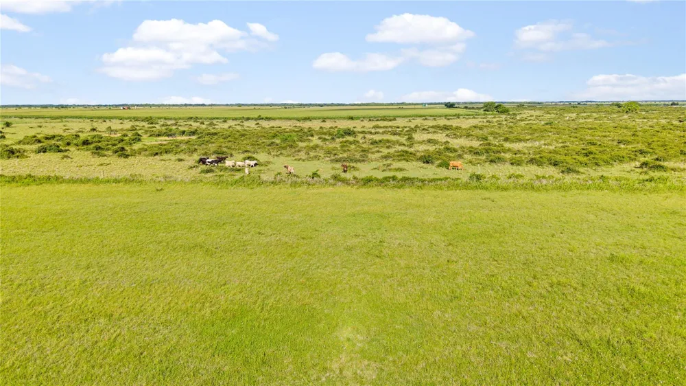 Cr 311 Louise, TX 77455