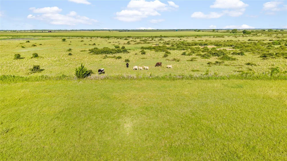 Cr 311 Louise, TX 77455