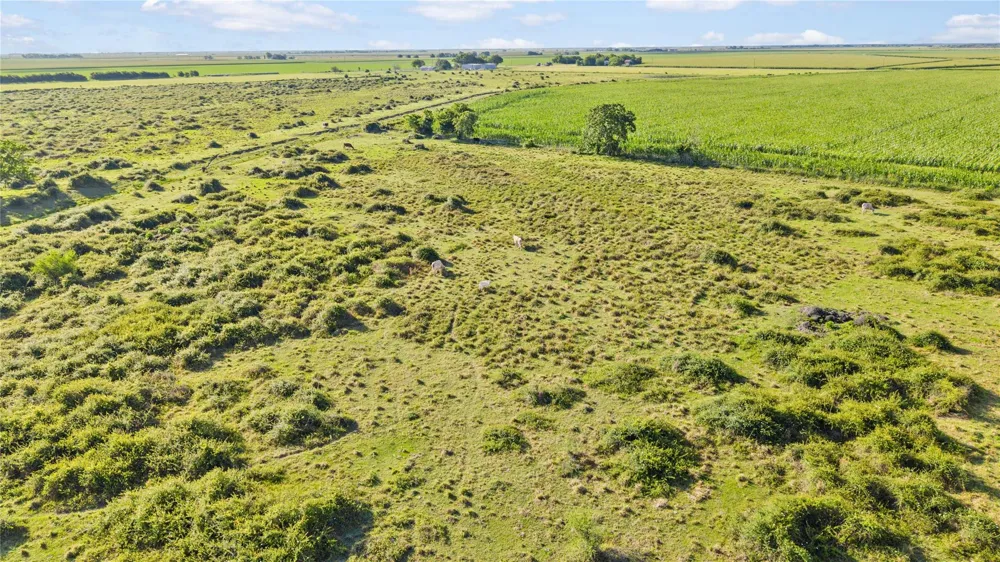 Cr 311 Louise, TX 77455