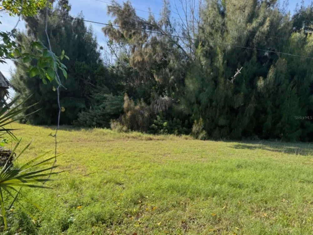 75 GREEN DOLPHIN DRIVE Placida, FL 33946