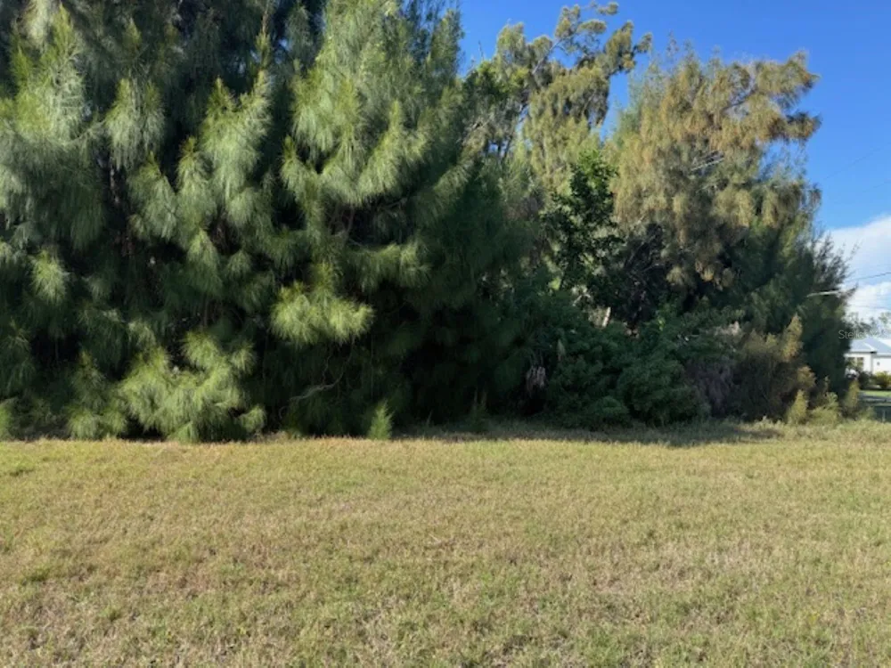 75 GREEN DOLPHIN DRIVE Placida, FL 33946