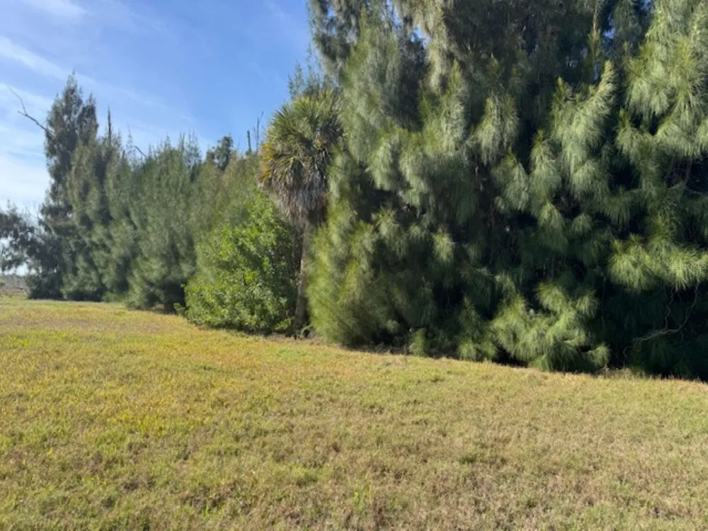 75 GREEN DOLPHIN DRIVE Placida, FL 33946