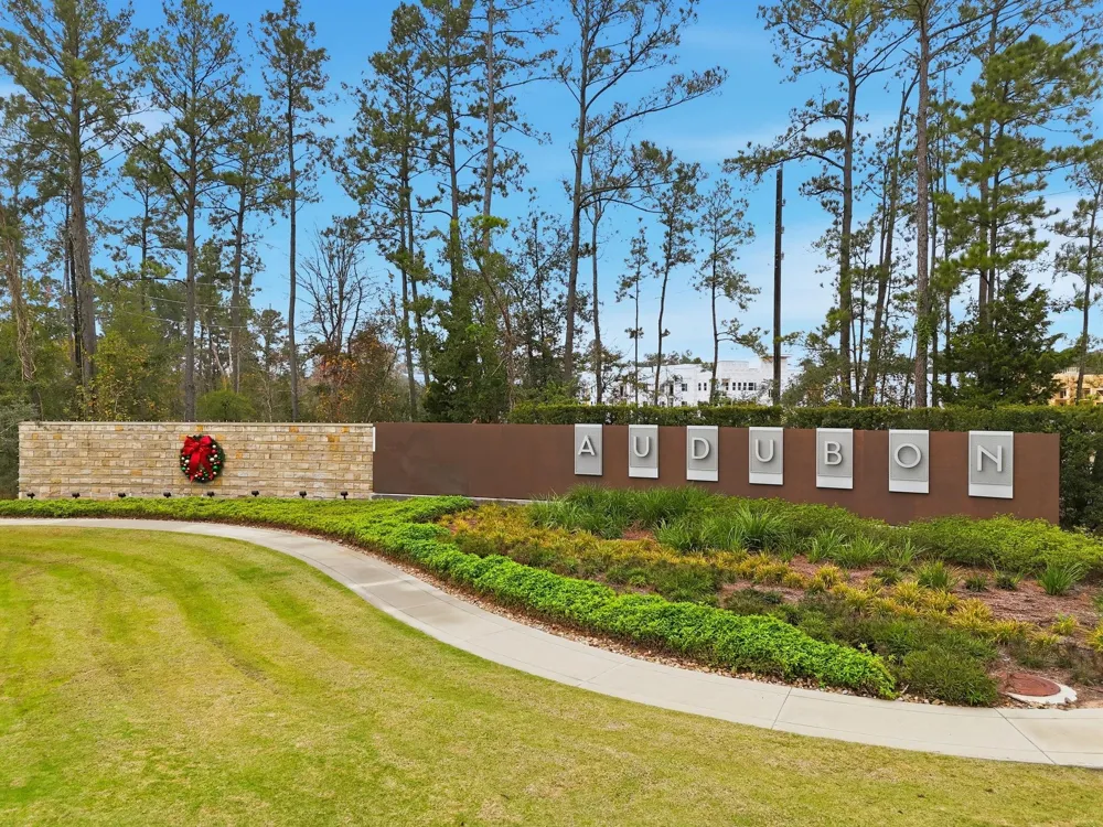 39514 Yellow Heron Way Magnolia, TX 77354