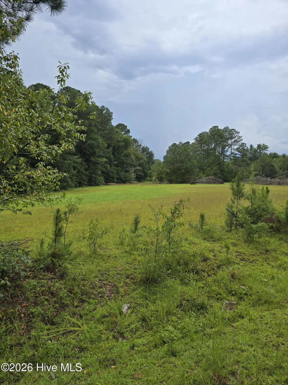 2865 Wheeler Road Thomson, GA 30824