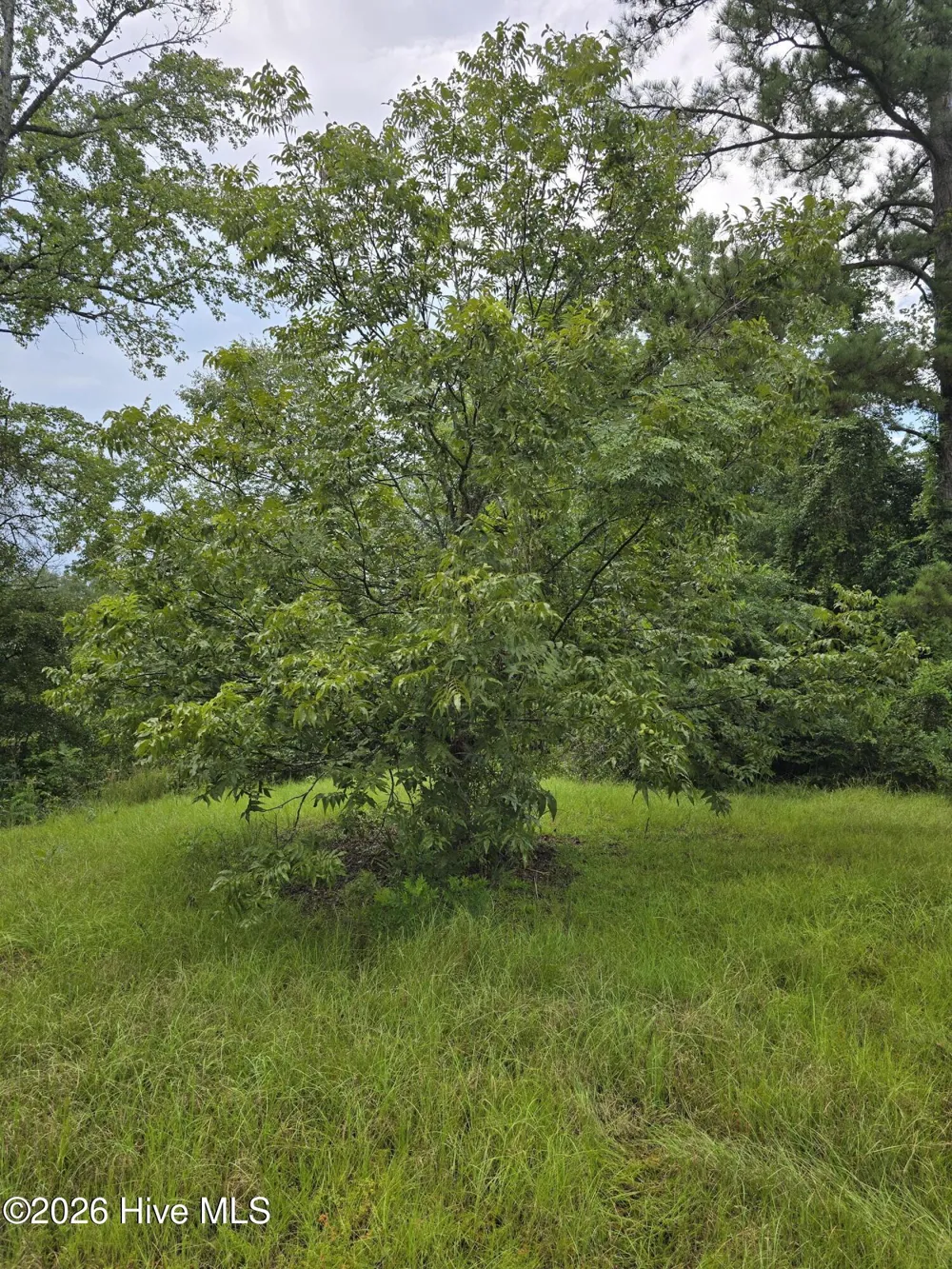 2865 Wheeler Road Thomson, GA 30824