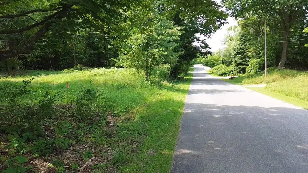 Franklin Street Helena Township, MI 49612