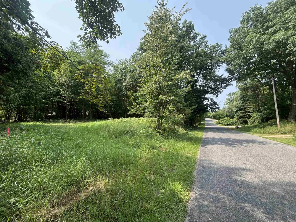 Franklin Street Helena Township, MI 49612