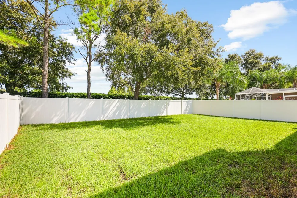 30419 RANDALL MANOR STREET Wesley Chapel, FL 33545