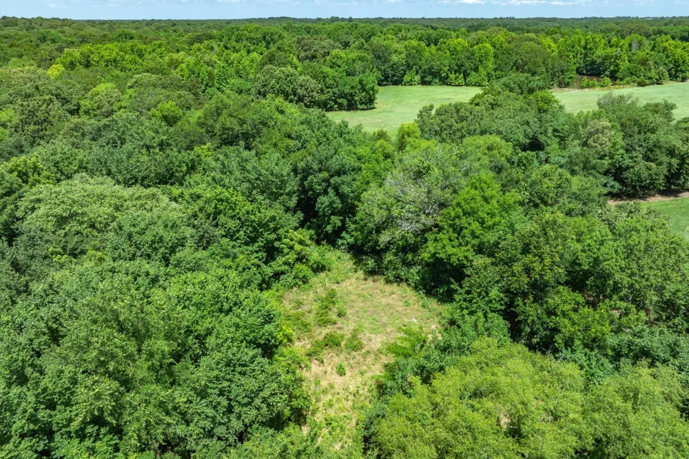 RS CR 1150 Emory, TX 75440