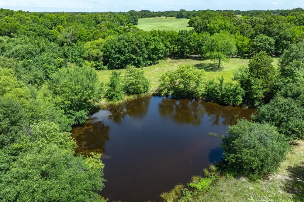 RS County Road 1150 Emory, TX 75440