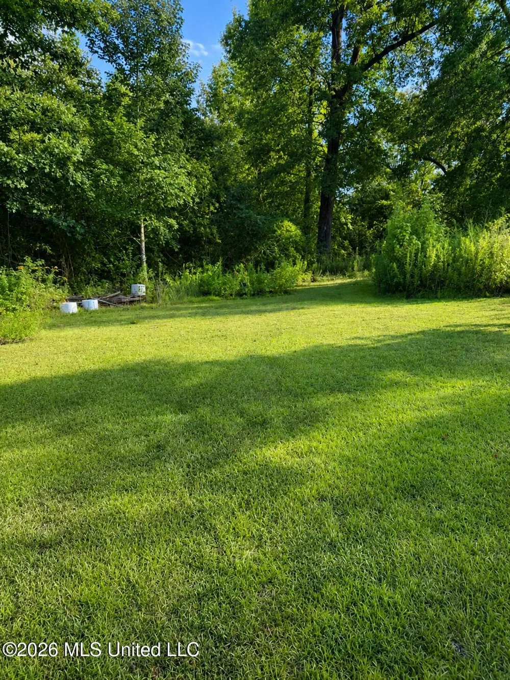 1612 Moonmist Drive Yazoo City, MS 39194