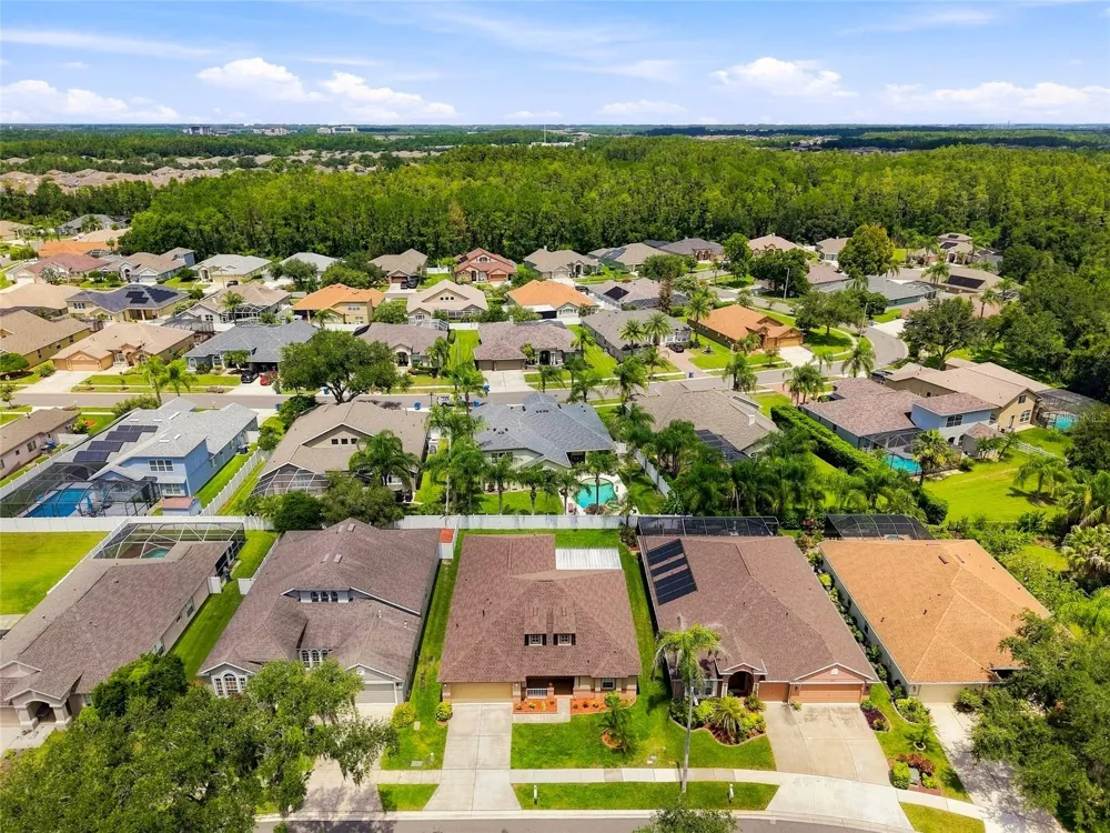 30501 IVERSON DRIVE Wesley Chapel, FL 33543