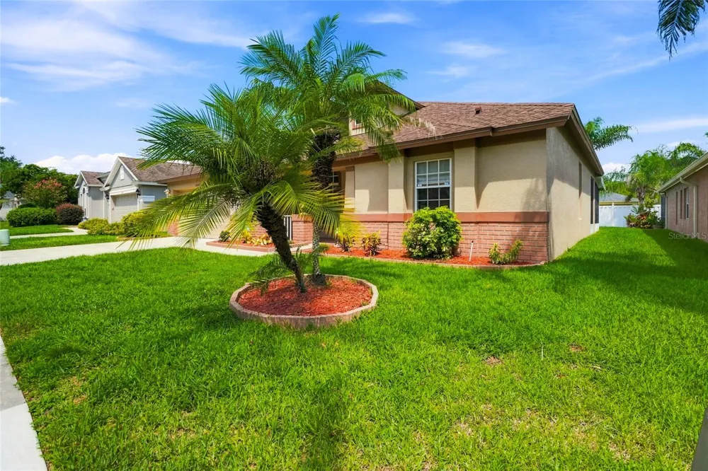 30501 IVERSON DRIVE Wesley Chapel, FL 33543
