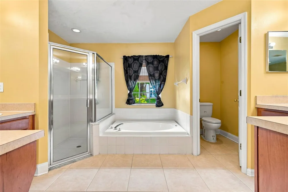 30501 IVERSON DRIVE Wesley Chapel, FL 33543