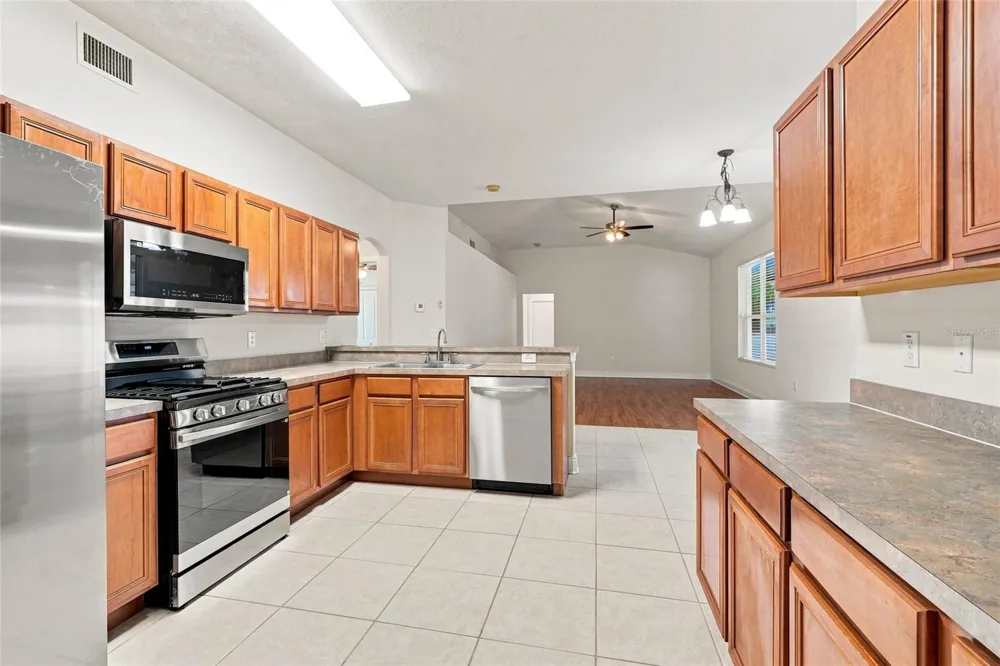 30501 IVERSON DRIVE Wesley Chapel, FL 33543