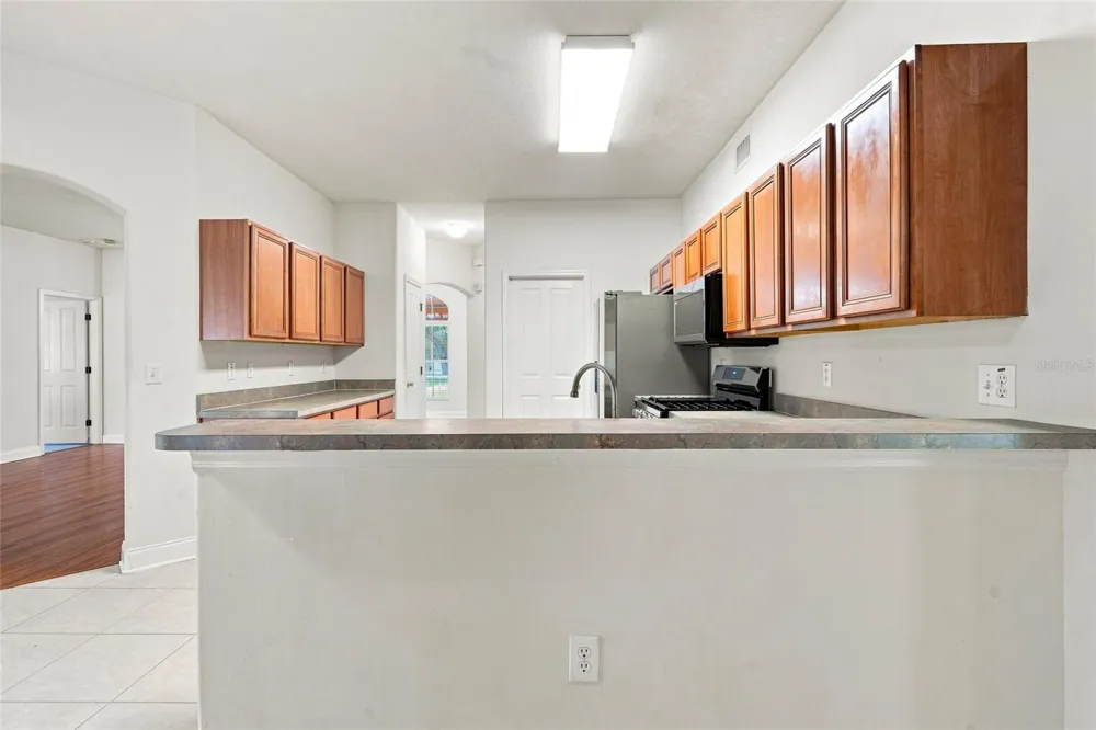 30501 IVERSON DRIVE Wesley Chapel, FL 33543