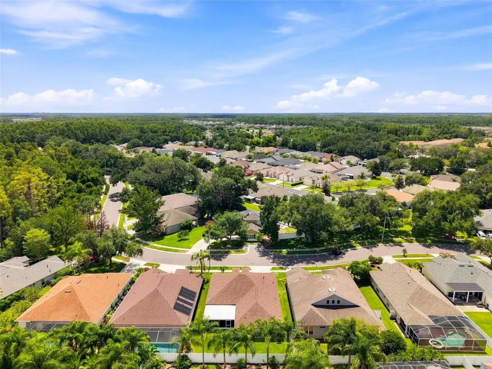 30501 IVERSON DRIVE Wesley Chapel, FL 33543