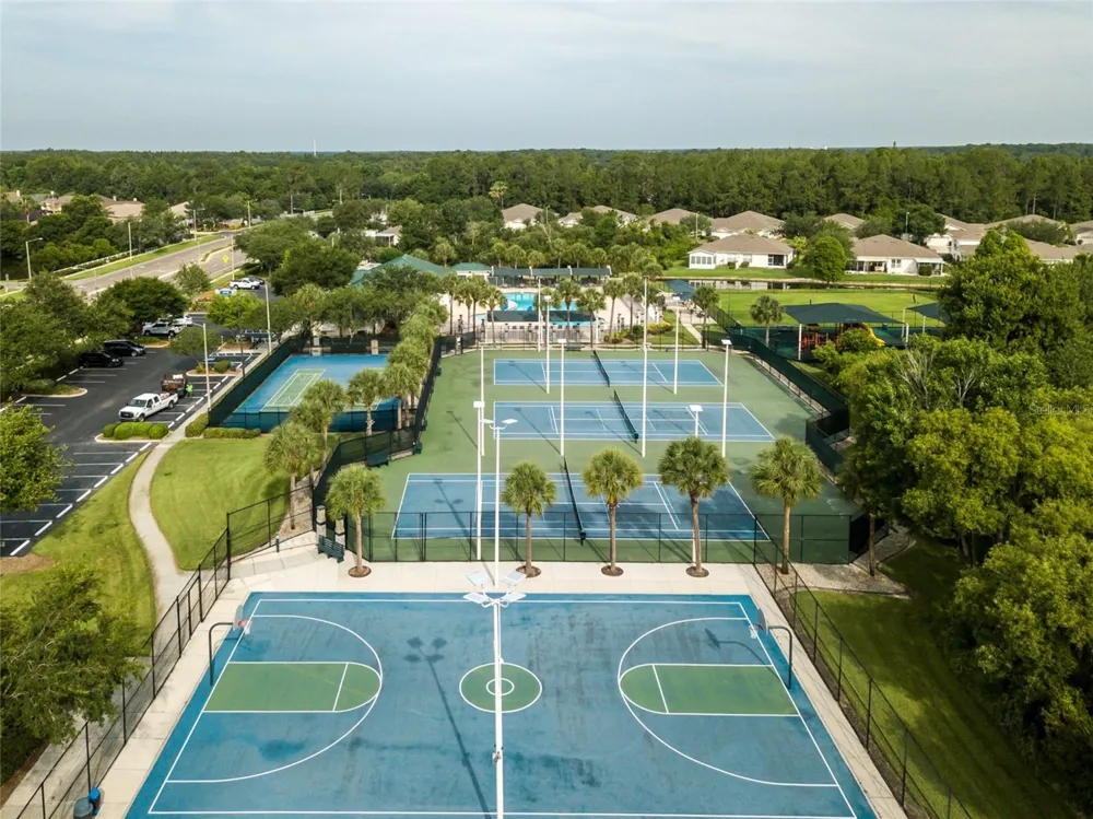 30501 IVERSON DRIVE Wesley Chapel, FL 33543