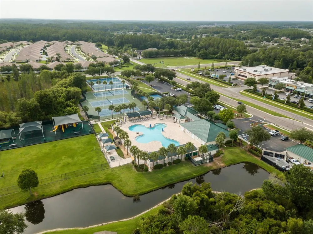 30501 IVERSON DRIVE Wesley Chapel, FL 33543