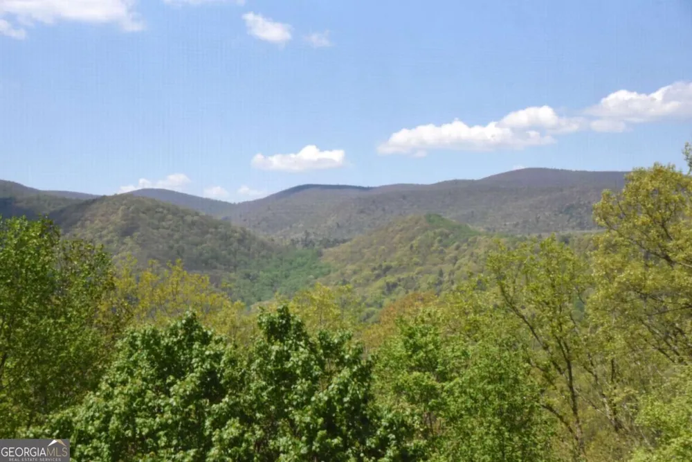 327 Prospectors PASS Ellijay, GA 30536