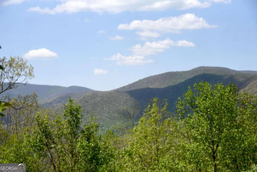 327 Prospectors PASS Ellijay, GA 30536