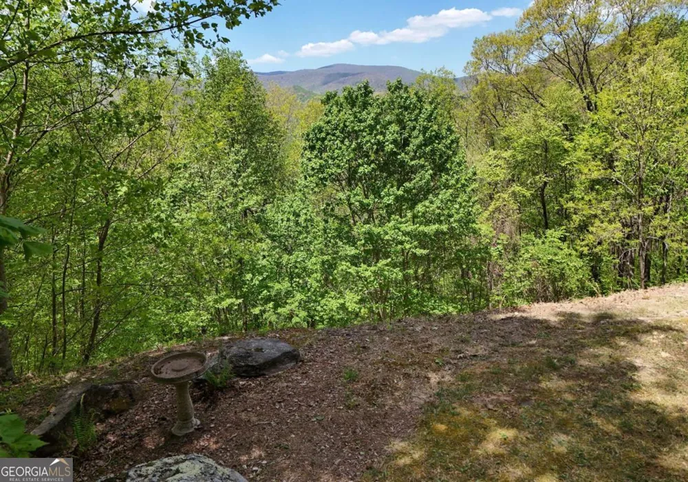327 Prospectors PASS Ellijay, GA 30536
