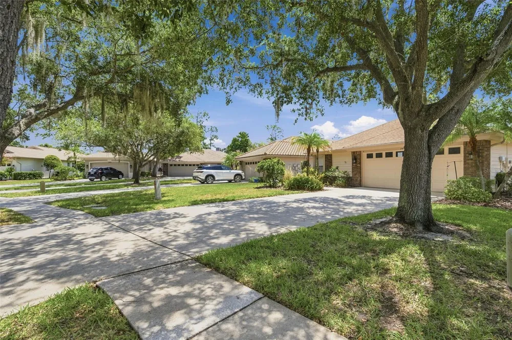 1469 RIVERDALE DRIVE Oldsmar, FL 34677