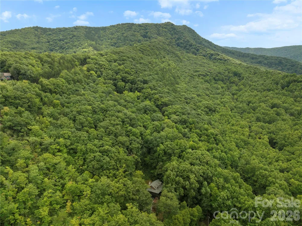 236 Holland Drive Black Mountain, NC 28711