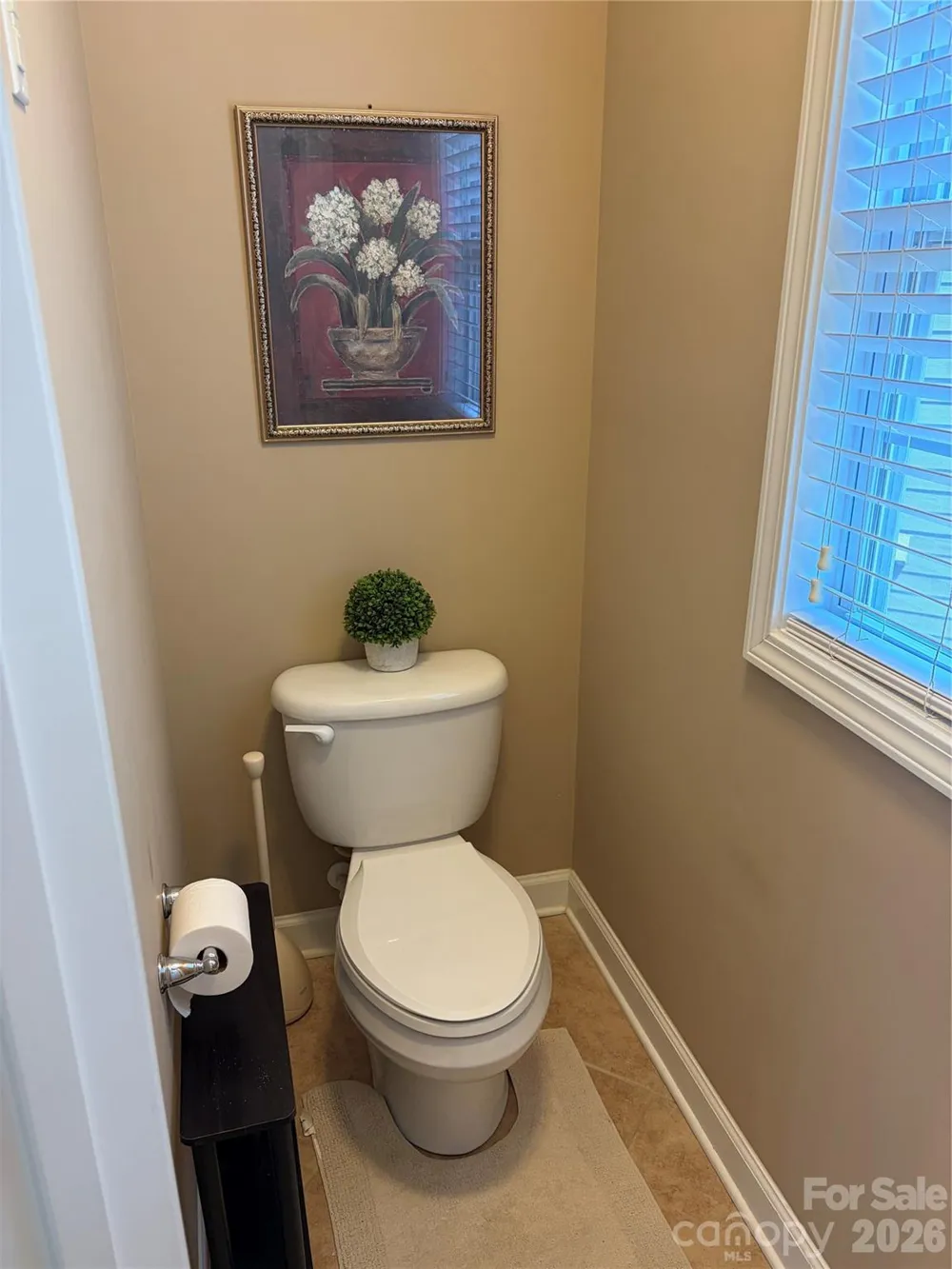 17228 W Marbella Lane Indian Land, SC 29707