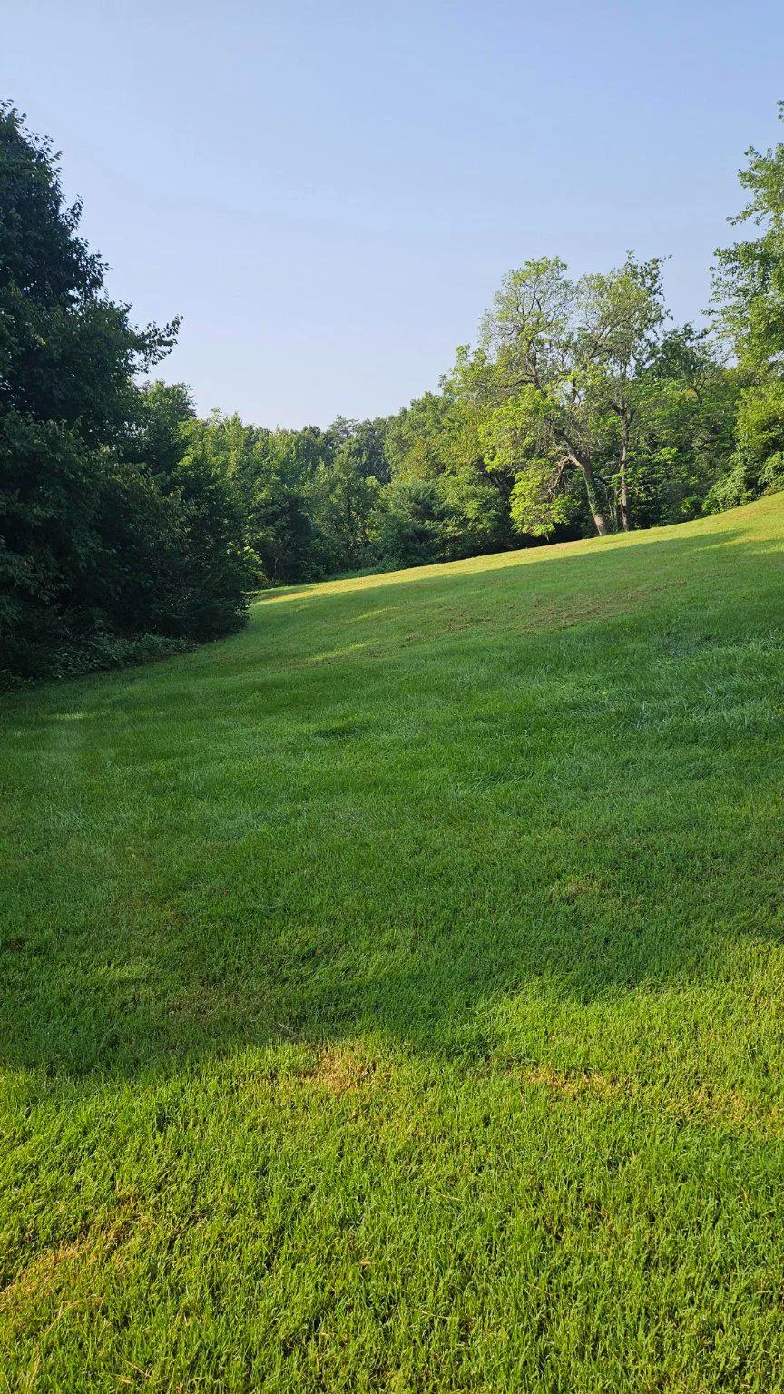 6852 DRIFTON COURT Centreville, VA 20121