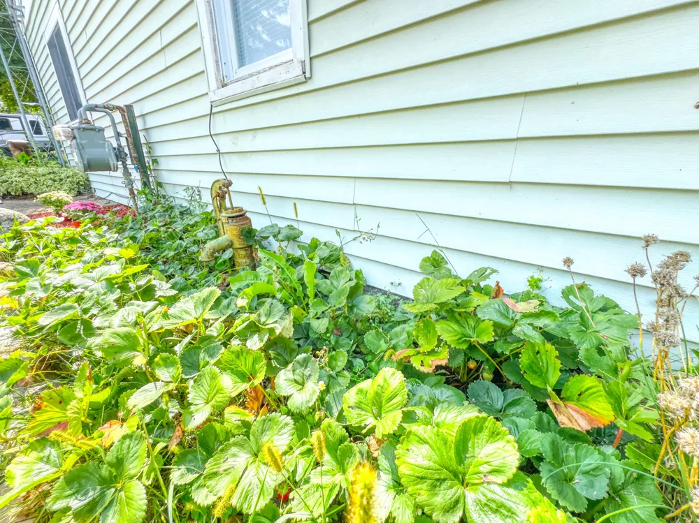 10724 Cutler Street Chippewa Township, MI 49320