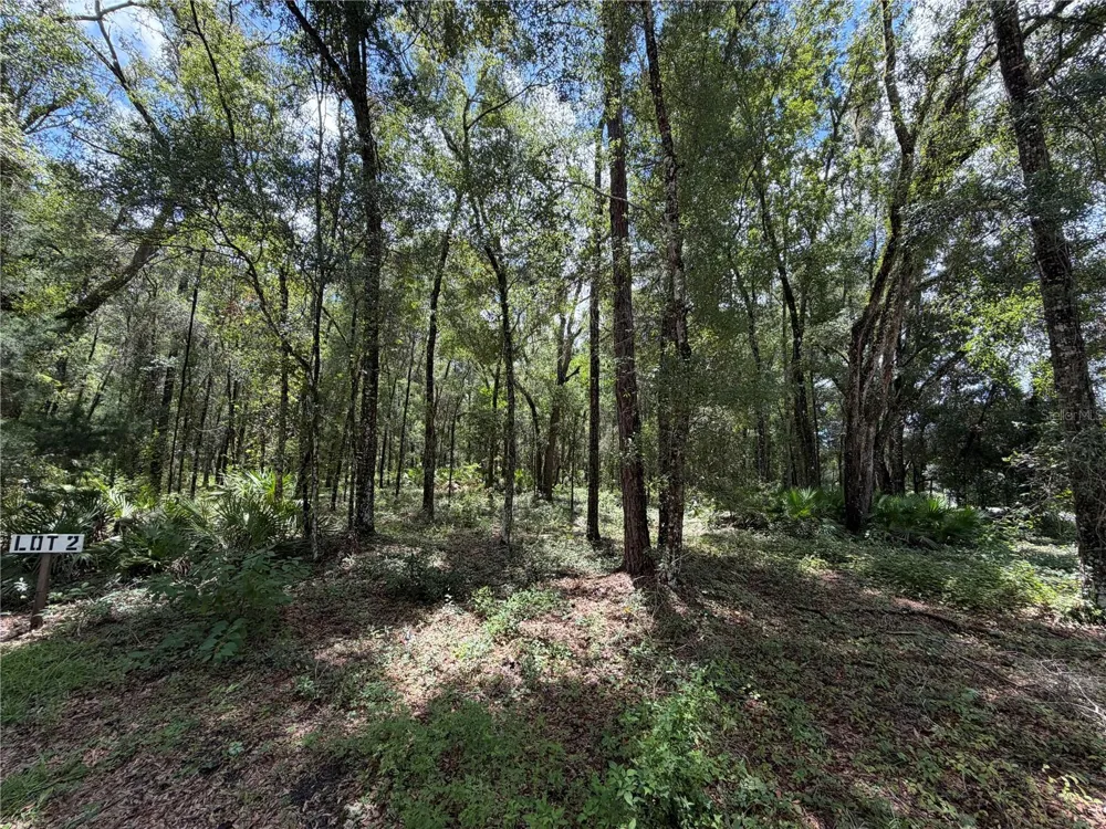 TBD SW 170TH STREET Archer, FL 32618