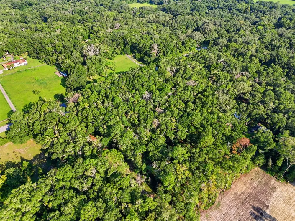 TBD SW 170TH STREET Archer, FL 32618