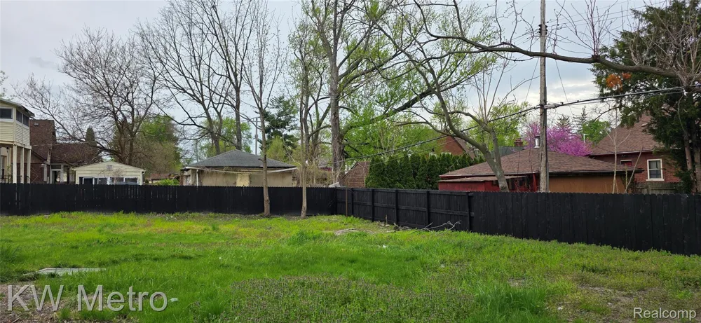 16765 Blackstone Street Detroit City, MI 48219