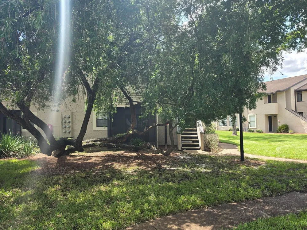 3019 ANTIQUE OAKS CIRCLE #127 Winter Park, FL 32792